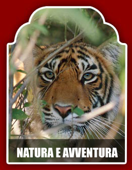 NATURA E AVVENTURA - VIAGGINORIENTE TOUR OPERATOR LOCALE